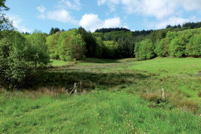 tourbiere de Mallety